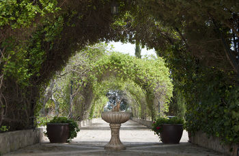 Finca Sa Garriga Binissalem Exterior photo